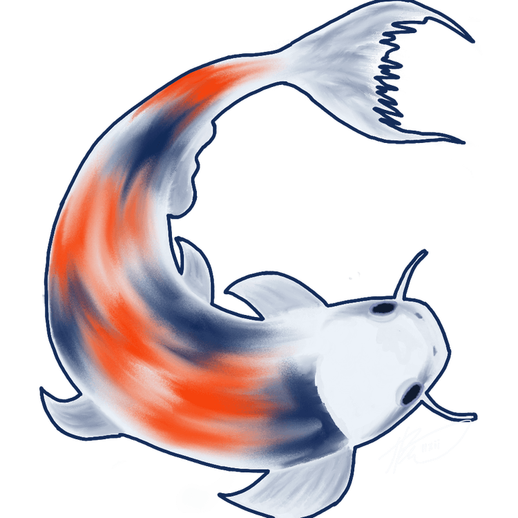 Show HN: Koi.rest – watch some fish and regain your balance